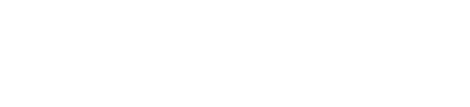 Gyrosoft